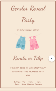 gender reveal party