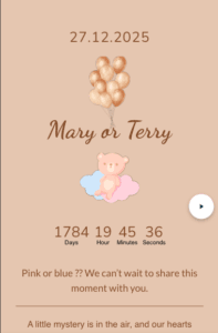 gender reveal invite